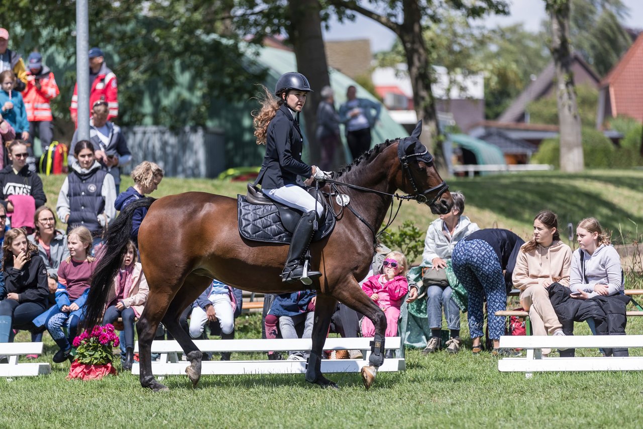 Bild 11 - Pony Akademie Turnier